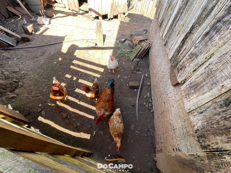 : 23ª foto da galeria de imagens do imóvel