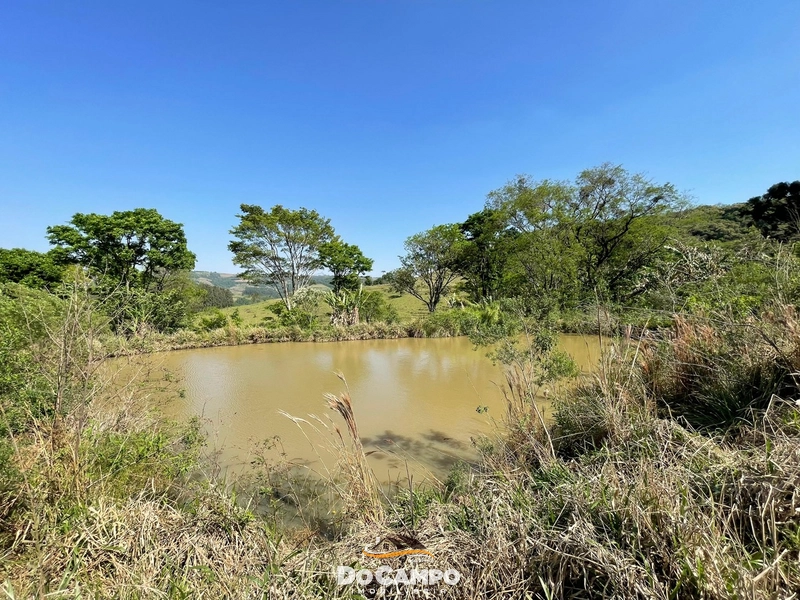 : 16ª foto da galeria de imagens do imóvel