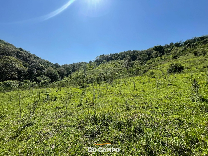 : 20ª foto da galeria de imagens do imóvel