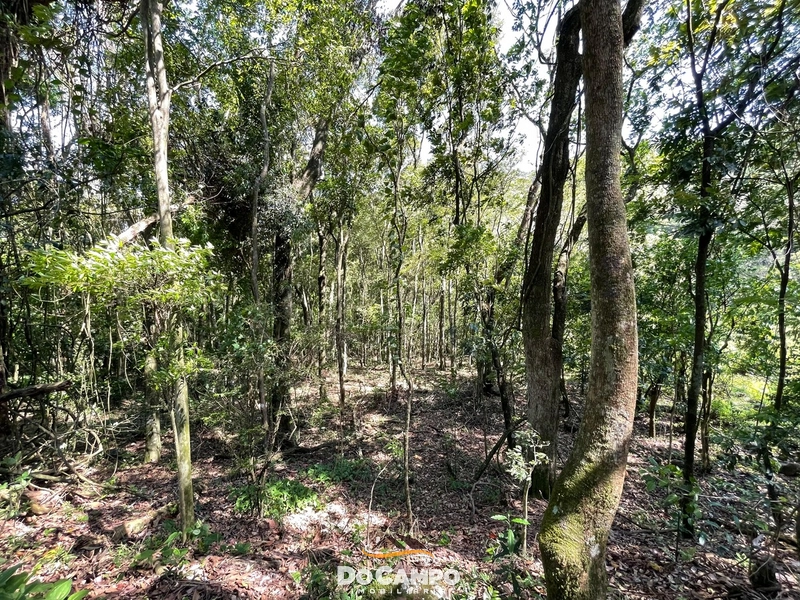 : 28ª foto da galeria de imagens do imóvel