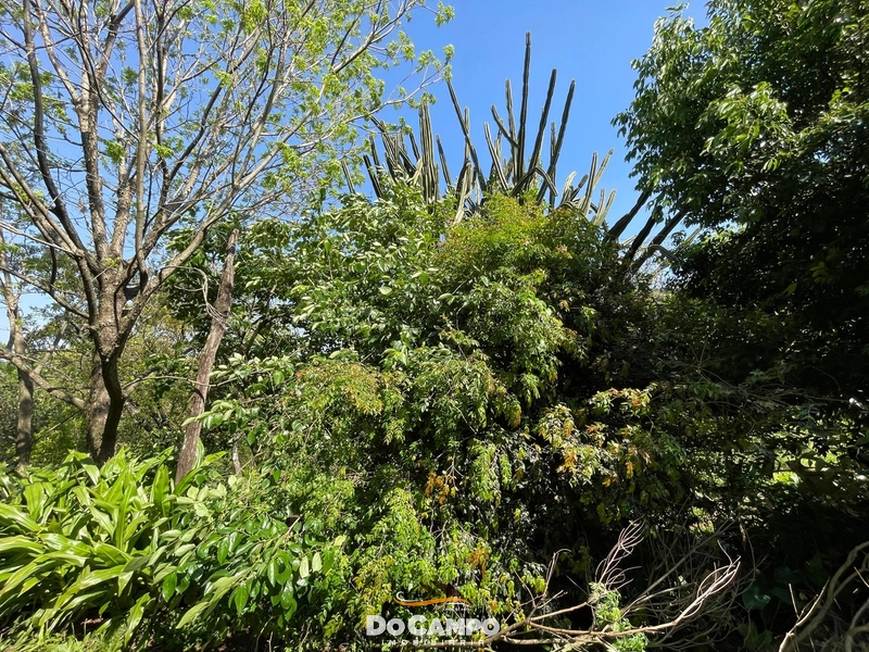 : 43ª foto da galeria de imagens do imóvel