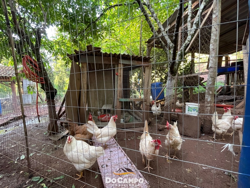 : 19ª foto da galeria de imagens do imóvel