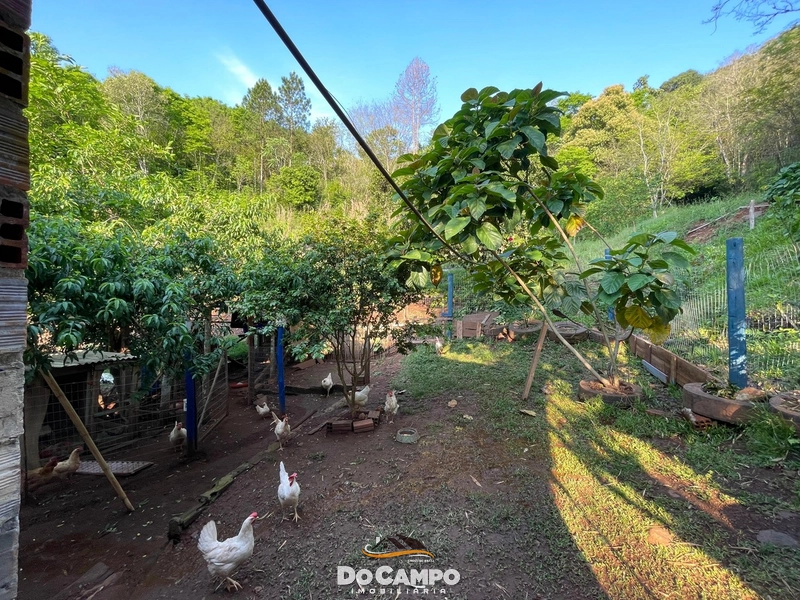 : 24ª foto da galeria de imagens do imóvel