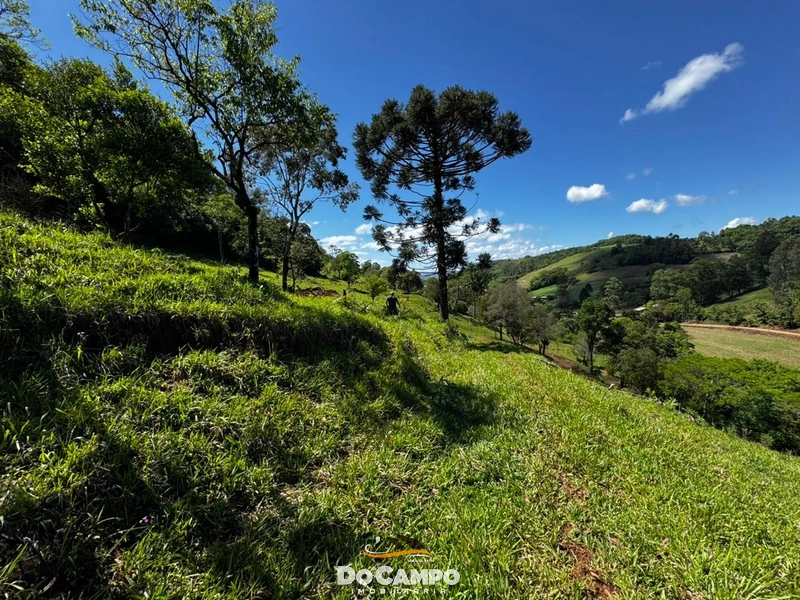 : 18ª foto da galeria de imagens do imóvel