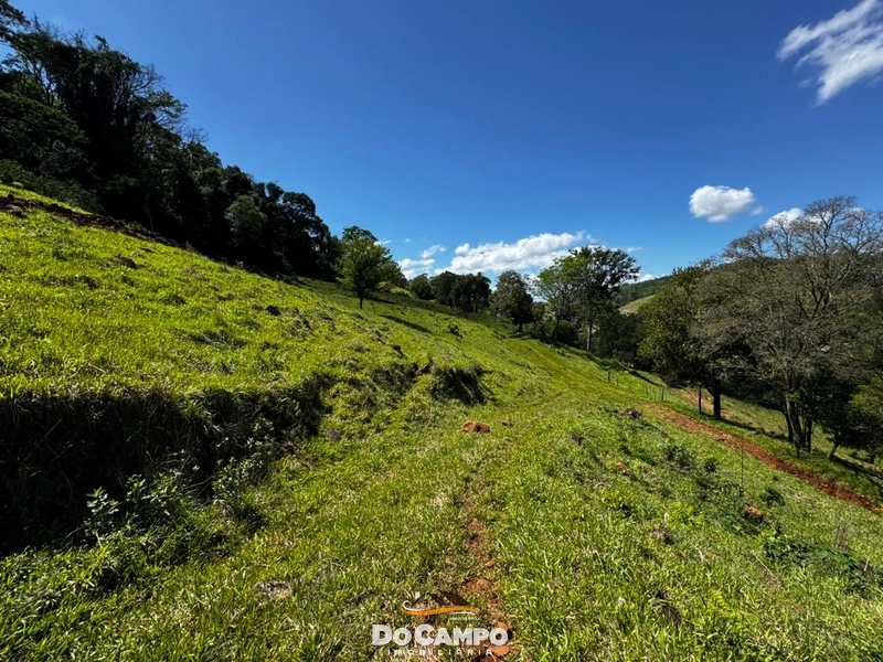 : 12ª foto da galeria de imagens do imóvel
