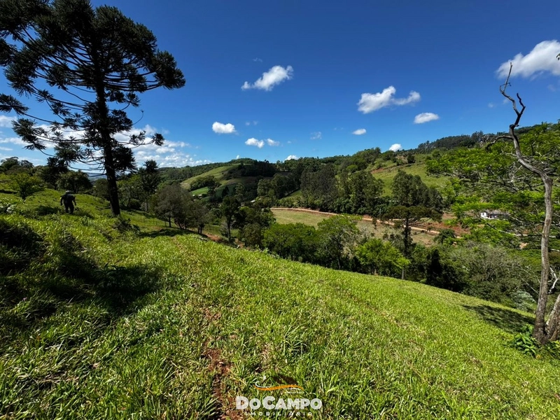 : 17ª foto da galeria de imagens do imóvel