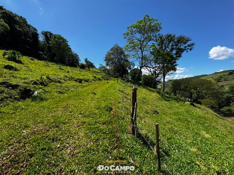 : 11ª foto da galeria de imagens do imóvel