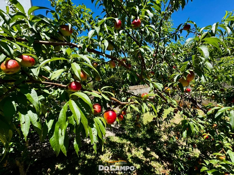 : 16ª foto da galeria de imagens do imóvel