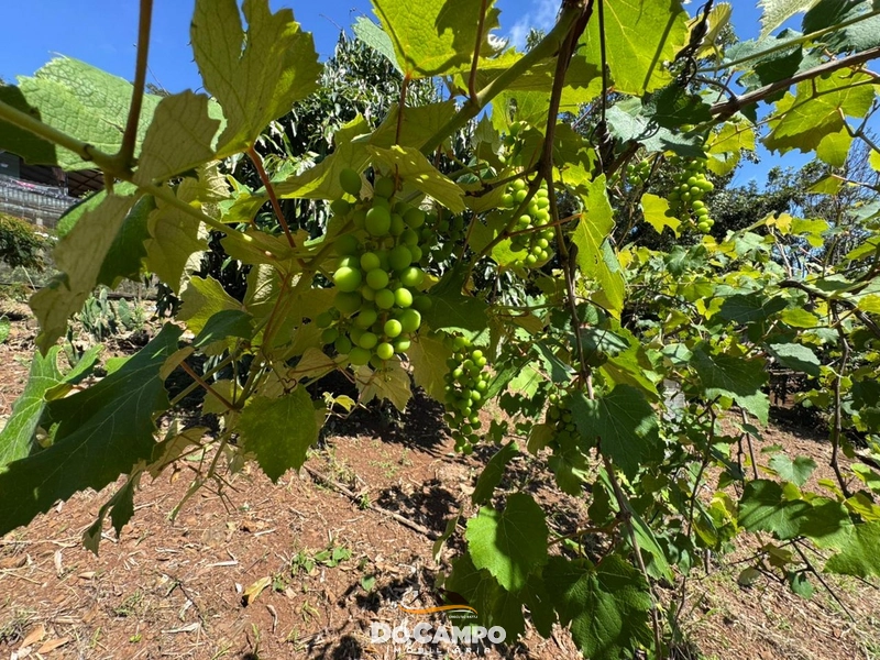 : 19ª foto da galeria de imagens do imóvel