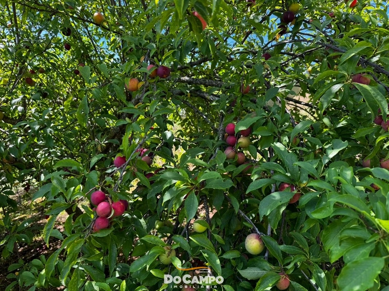 : 21ª foto da galeria de imagens do imóvel