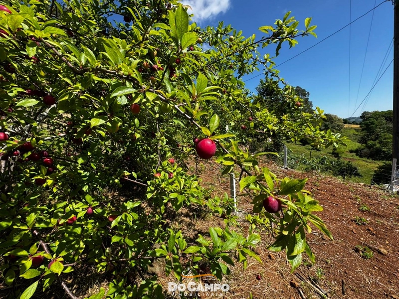: 20ª foto da galeria de imagens do imóvel