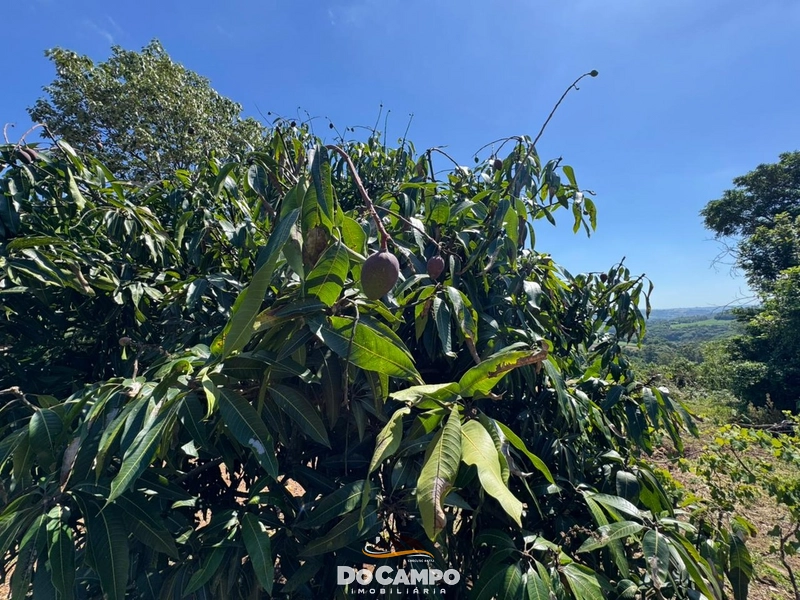 : 18ª foto da galeria de imagens do imóvel