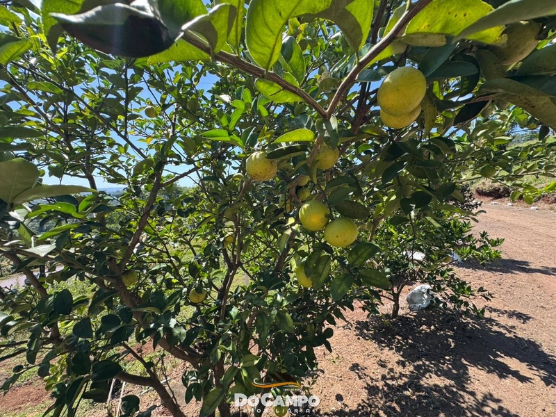 : 16ª foto da galeria de imagens do imóvel