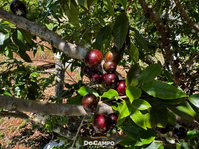 : 24ª foto da galeria de imagens do imóvel