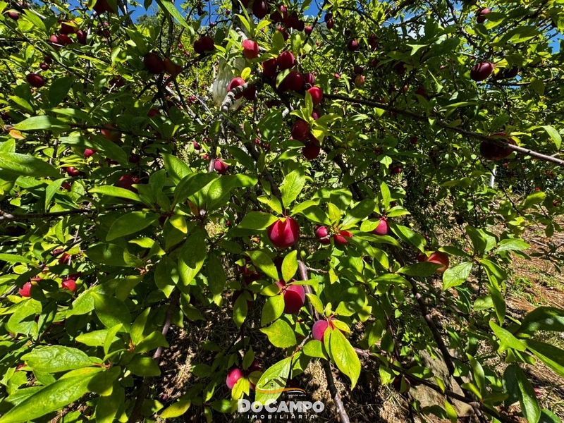 : 22ª foto da galeria de imagens do imóvel