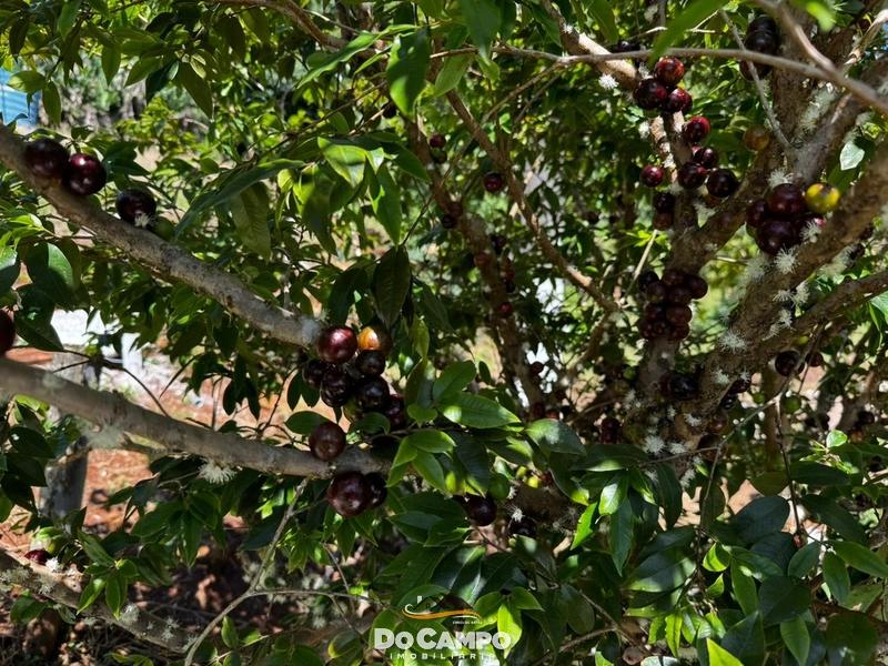 : 23ª foto da galeria de imagens do imóvel