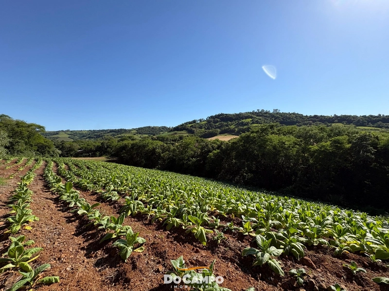 : 62ª foto da galeria de imagens do imóvel