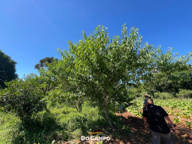 : 46ª foto da galeria de imagens do imóvel