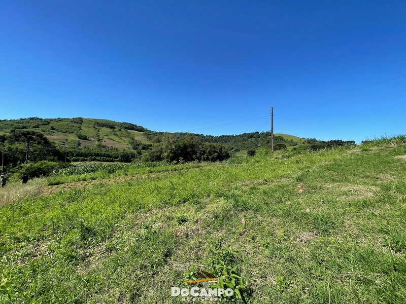 : 49ª foto da galeria de imagens do imóvel