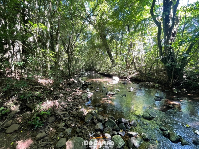 : 39ª foto da galeria de imagens do imóvel