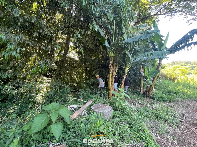 : 36ª foto da galeria de imagens do imóvel