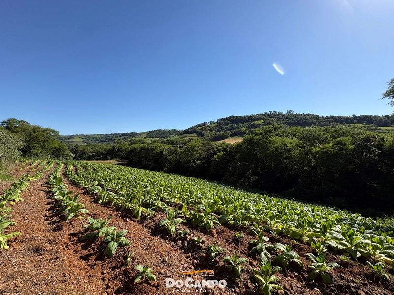 : 64ª foto da galeria de imagens do imóvel