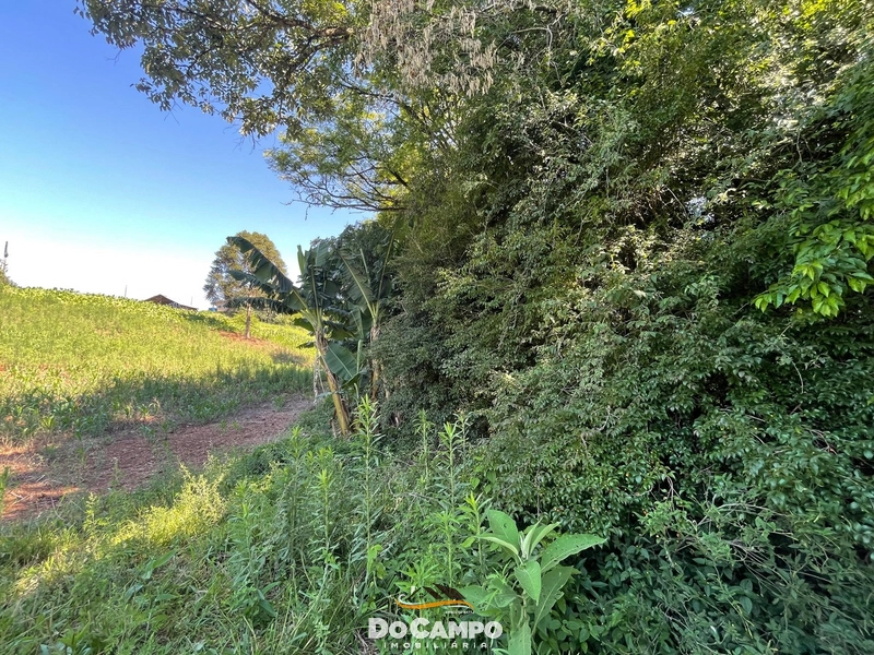 : 35ª foto da galeria de imagens do imóvel