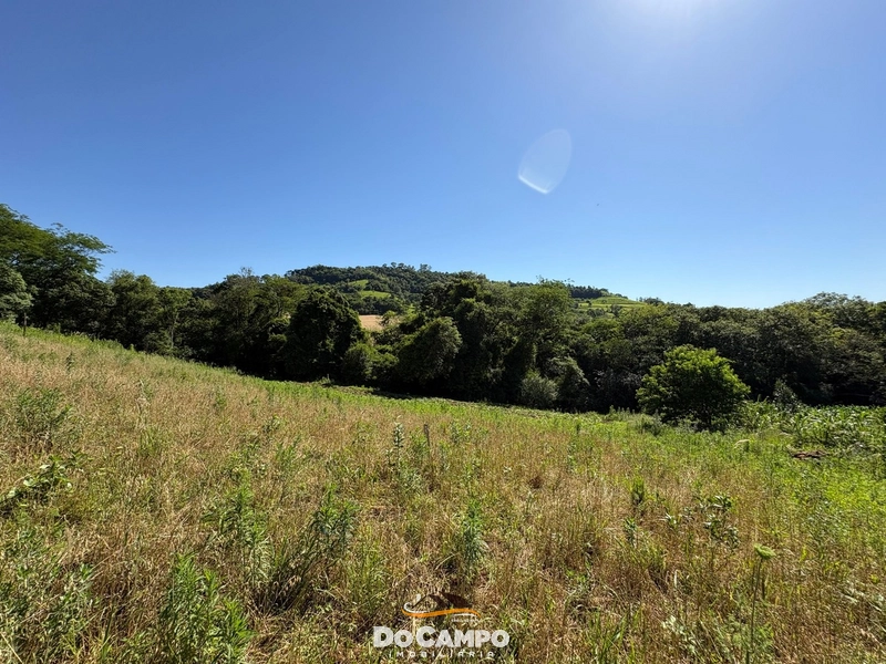 : 58ª foto da galeria de imagens do imóvel