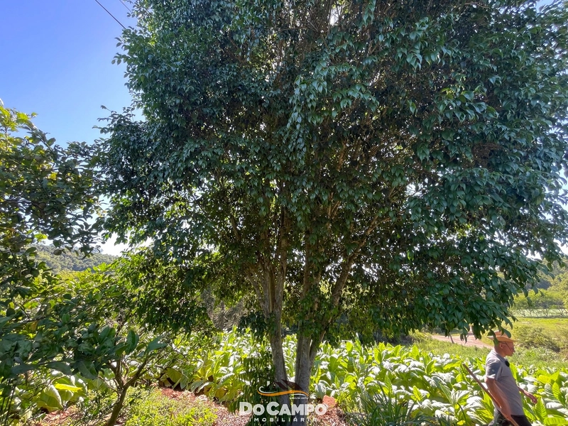 : 41ª foto da galeria de imagens do imóvel