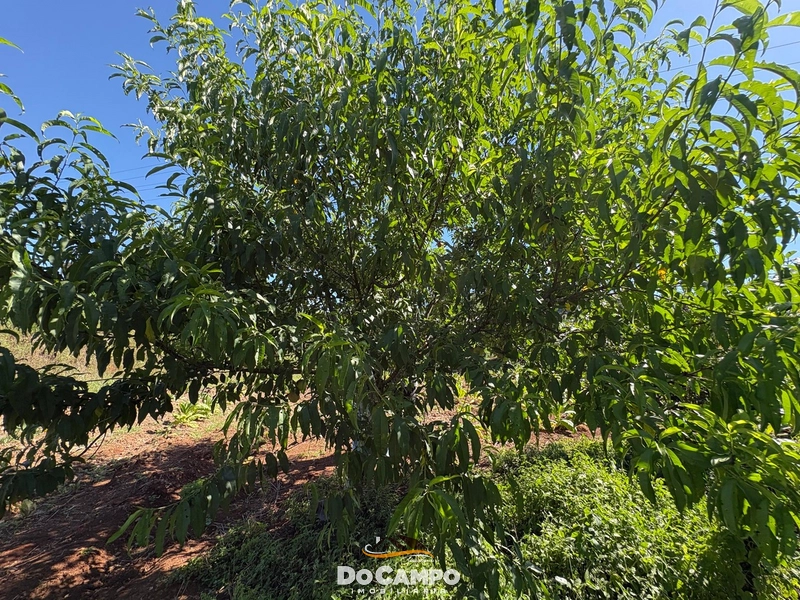 : 59ª foto da galeria de imagens do imóvel