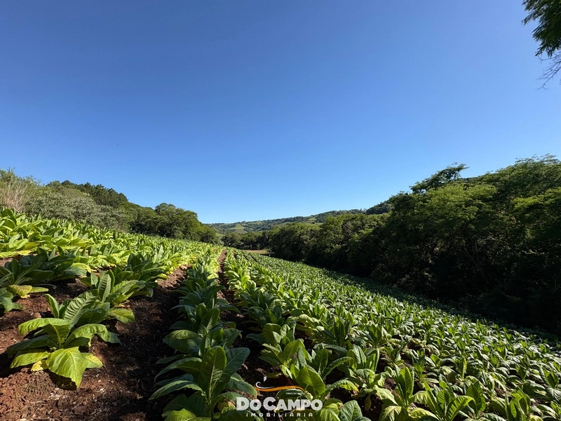 : 66ª foto da galeria de imagens do imóvel