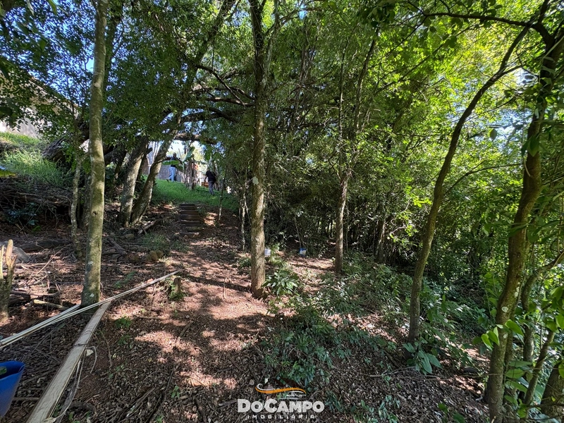 : 55ª foto da galeria de imagens do imóvel