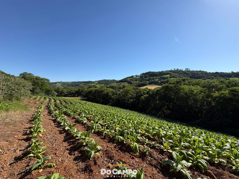 : 63ª foto da galeria de imagens do imóvel