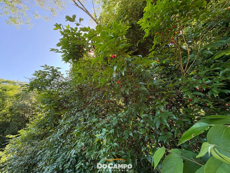 : 51ª foto da galeria de imagens do imóvel