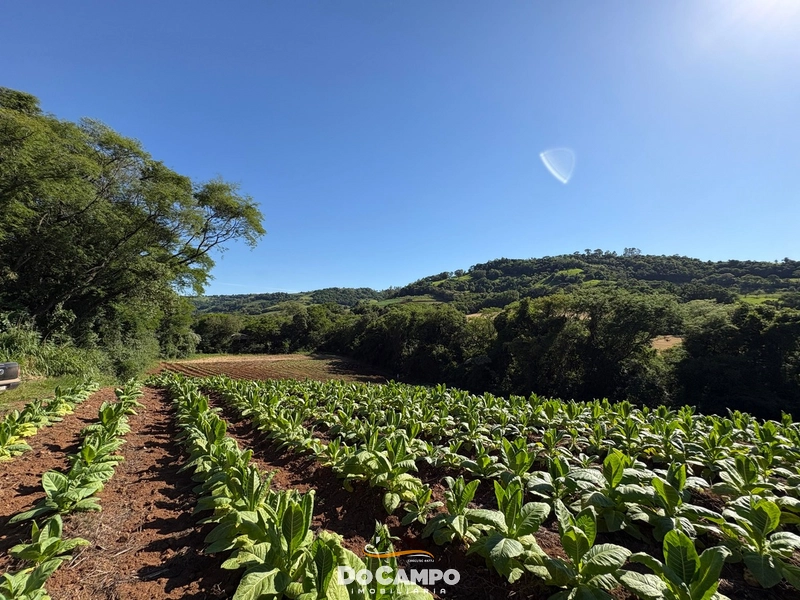 : 65ª foto da galeria de imagens do imóvel