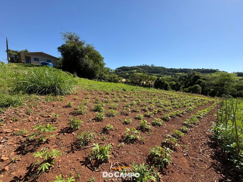 : 56ª foto da galeria de imagens do imóvel