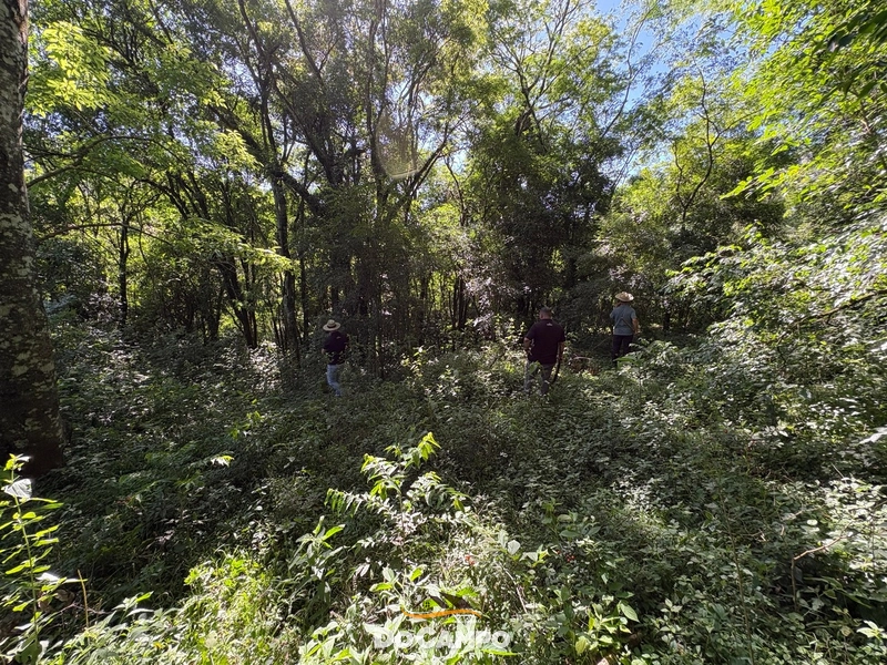 : 53ª foto da galeria de imagens do imóvel