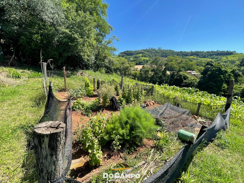 : 33ª foto da galeria de imagens do imóvel