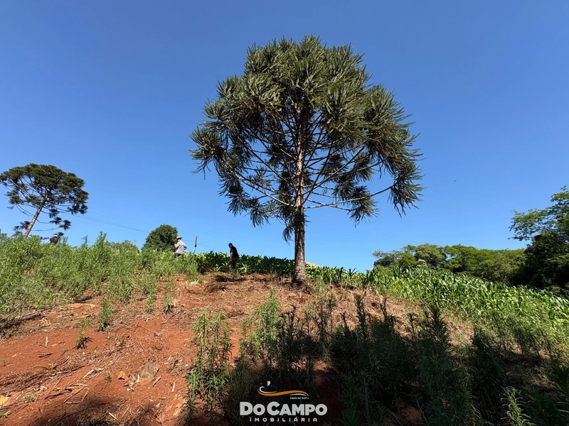 : 61ª foto da galeria de imagens do imóvel