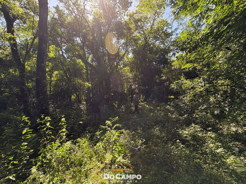 : 54ª foto da galeria de imagens do imóvel