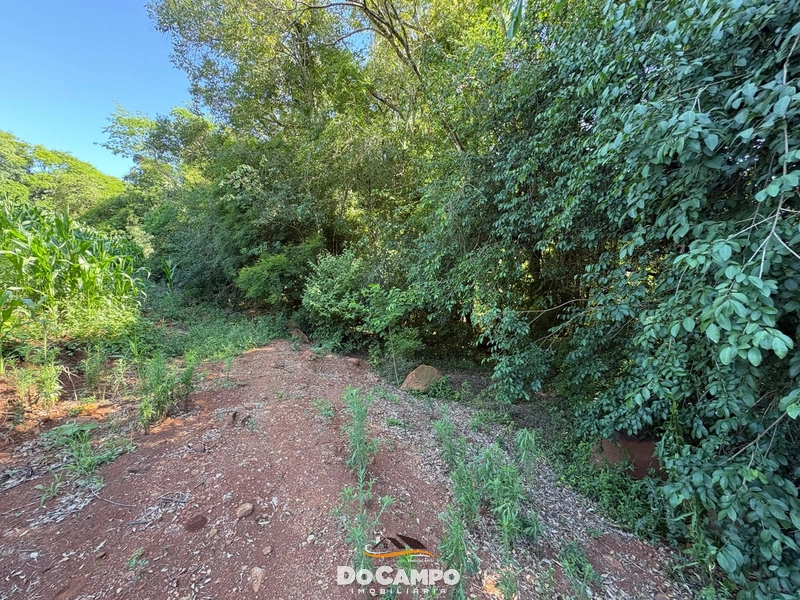 : 52ª foto da galeria de imagens do imóvel