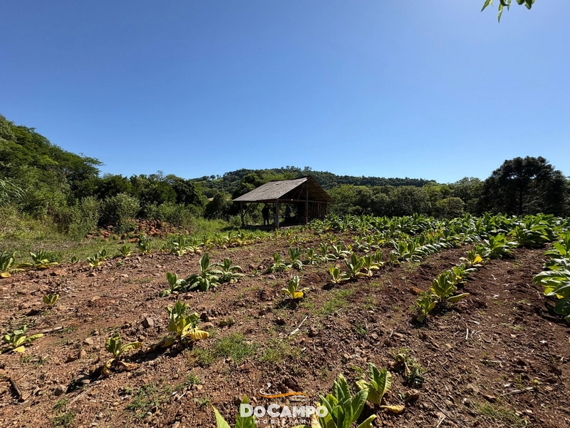 : 43ª foto da galeria de imagens do imóvel