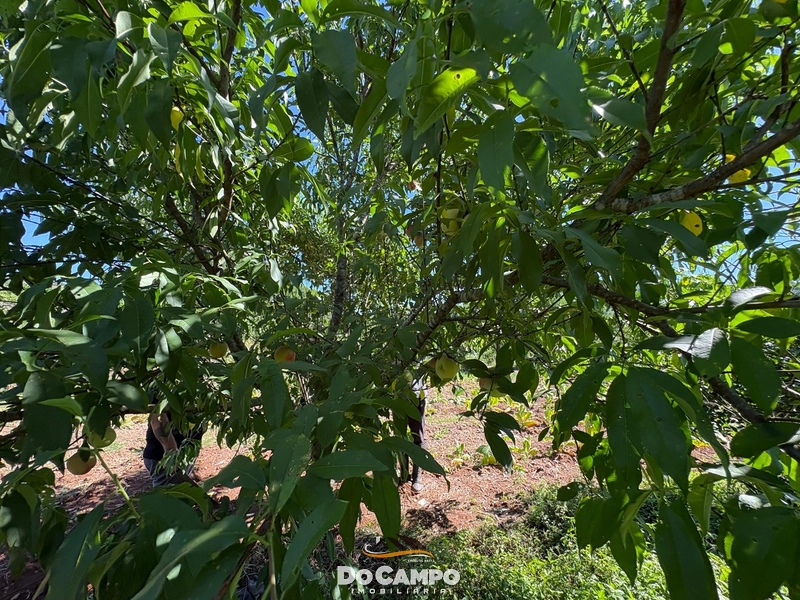 : 60ª foto da galeria de imagens do imóvel