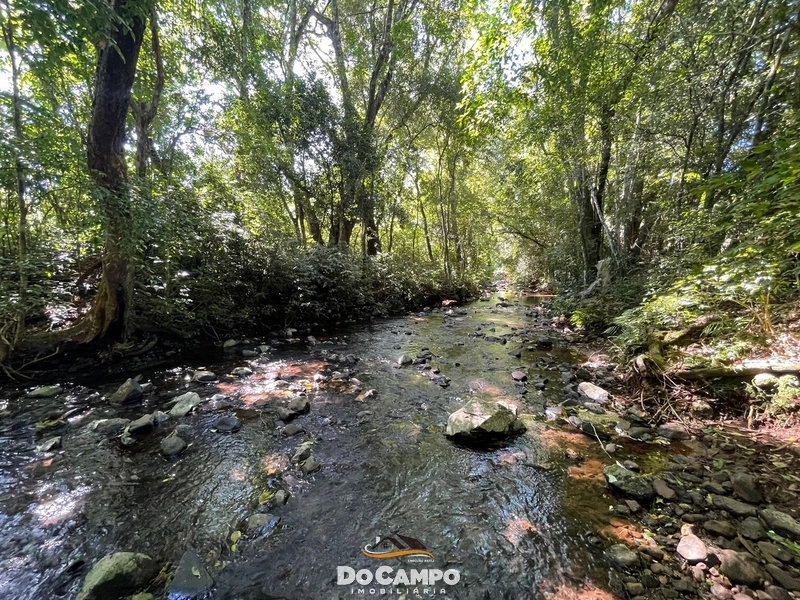 : 38ª foto da galeria de imagens do imóvel