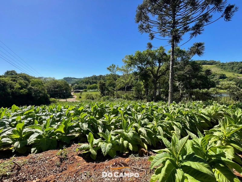 : 42ª foto da galeria de imagens do imóvel