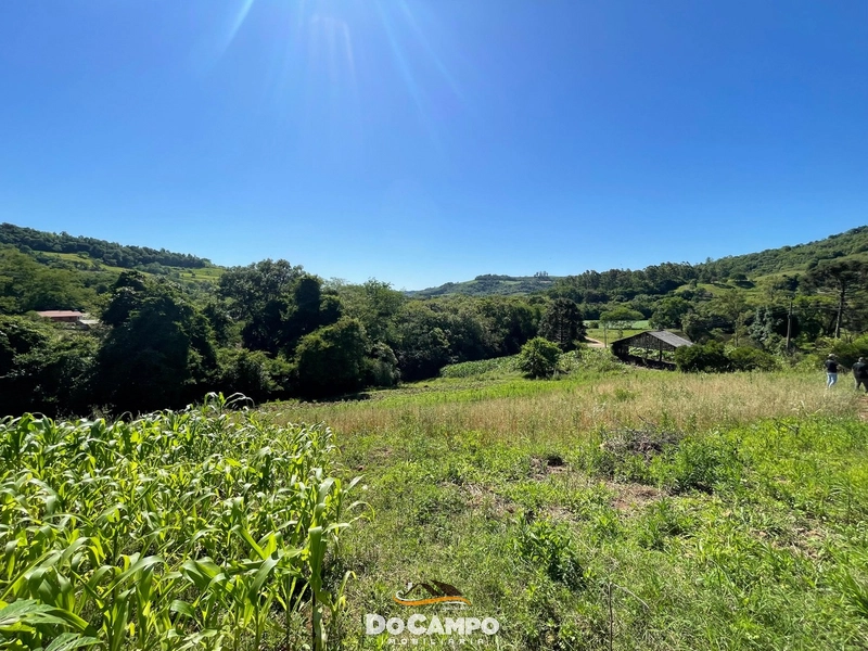 : 50ª foto da galeria de imagens do imóvel