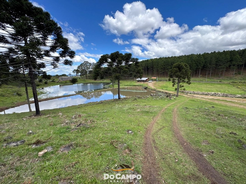 : 17ª foto da galeria de imagens do imóvel