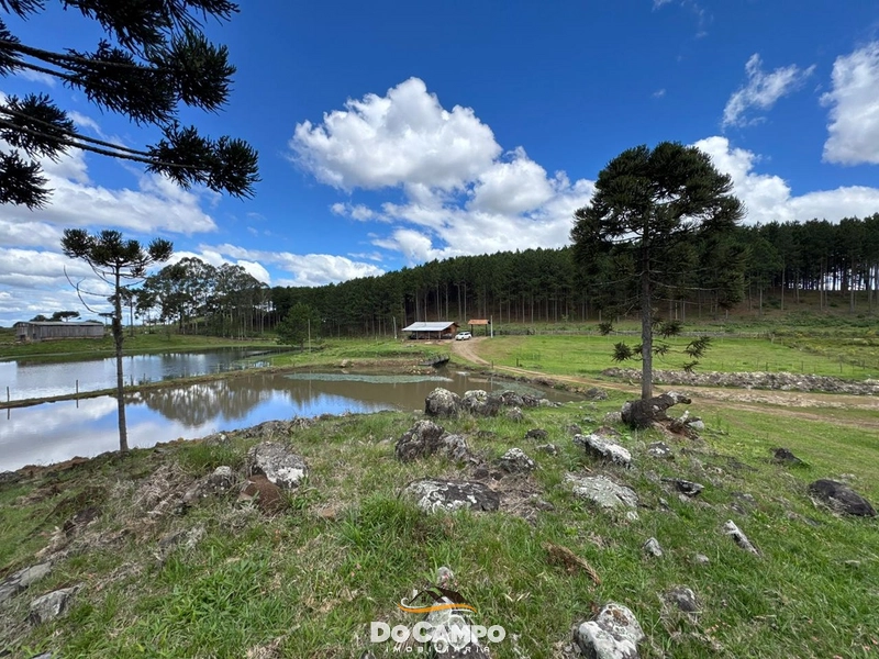 : 13ª foto da galeria de imagens do imóvel