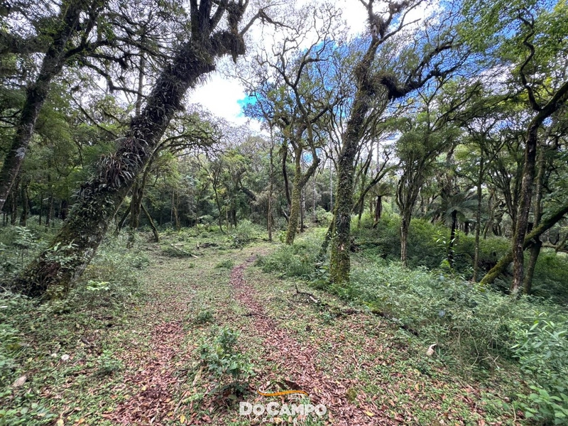 : 22ª foto da galeria de imagens do imóvel