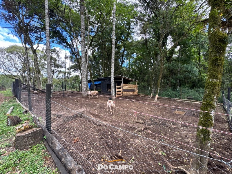 : 24ª foto da galeria de imagens do imóvel